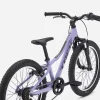 Bicicleta infantil de aluminio Trek Precaliber 20 de 7 velocidades en Bikes Click