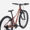 Bicicleta infantil de montaña de aluminio Trek Precaliber 24 con suspensión en Bikes Click